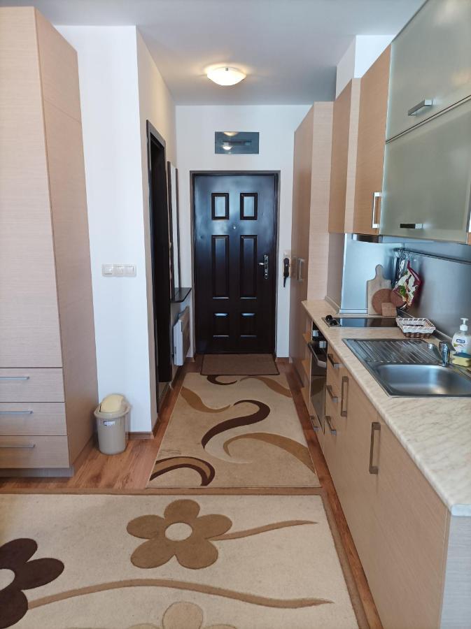 Studio Detelina Residence Bansko Buitenkant foto