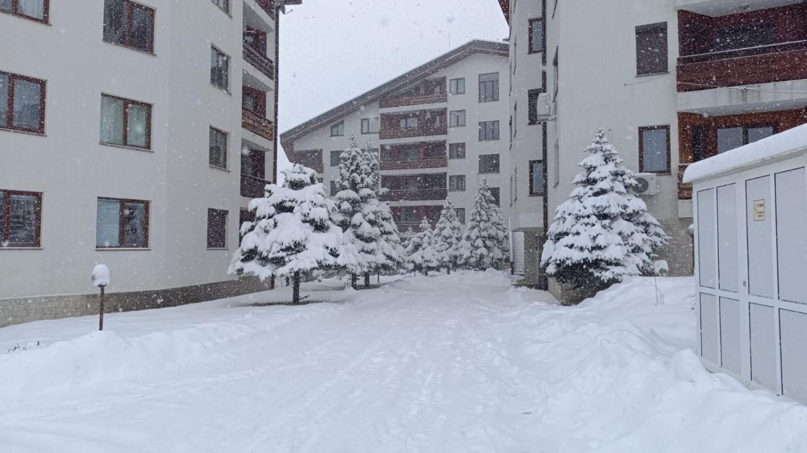 Studio Detelina Residence Bansko Buitenkant foto