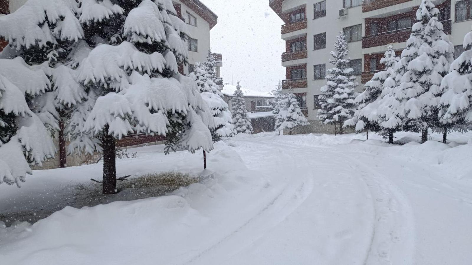 Studio Detelina Residence Bansko Buitenkant foto