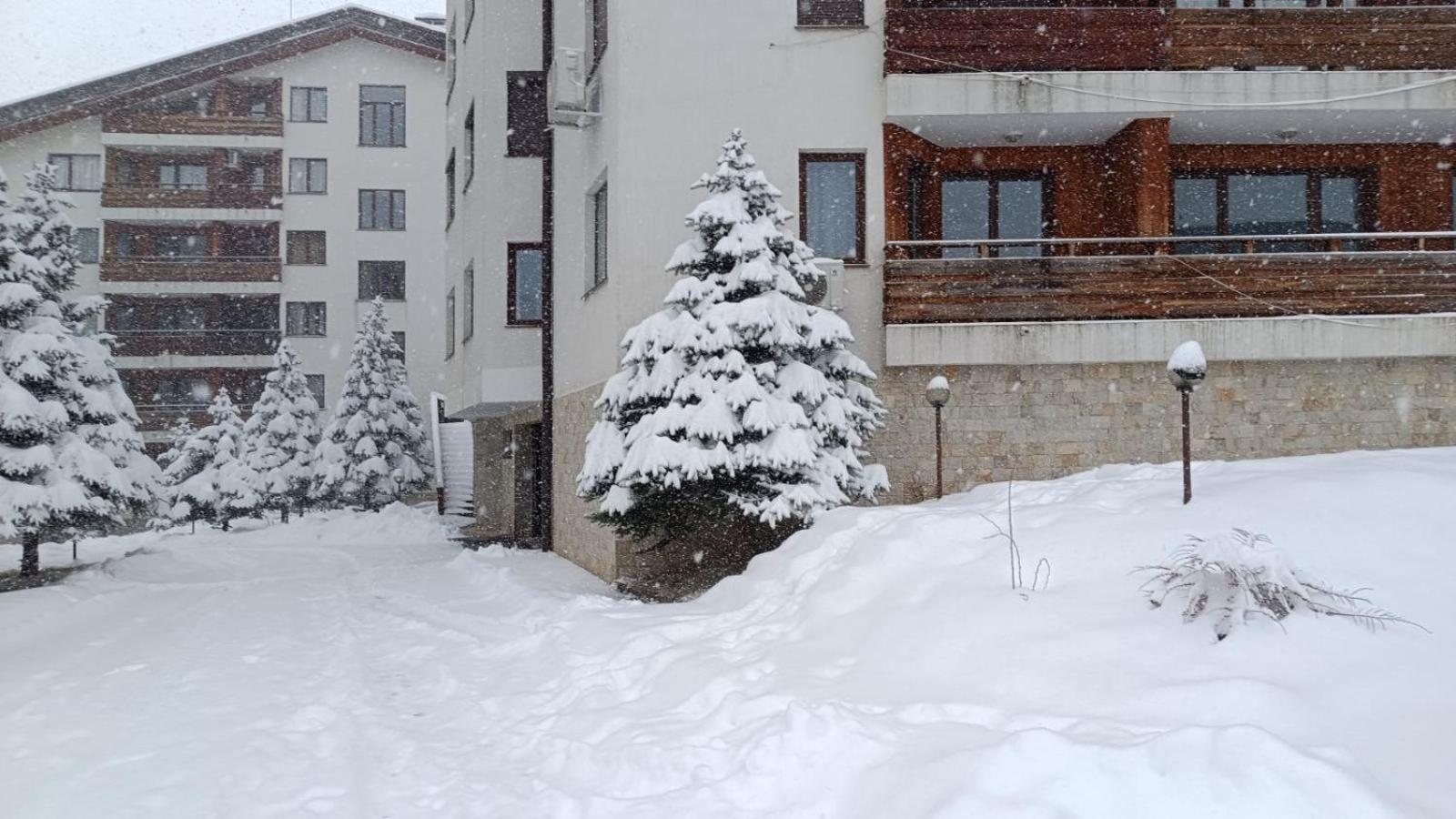Studio Detelina Residence Bansko Buitenkant foto