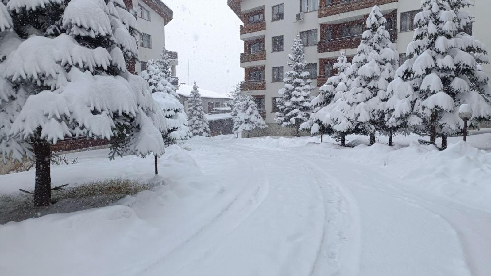 Studio Detelina Residence Bansko Buitenkant foto