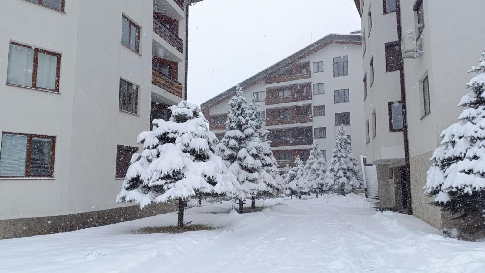 Studio Detelina Residence Bansko Buitenkant foto