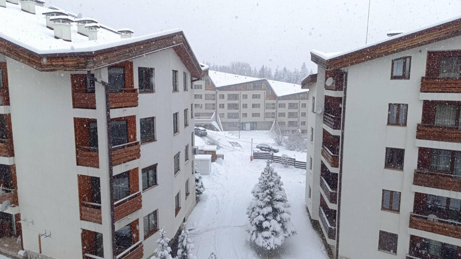 Studio Detelina Residence Bansko Buitenkant foto