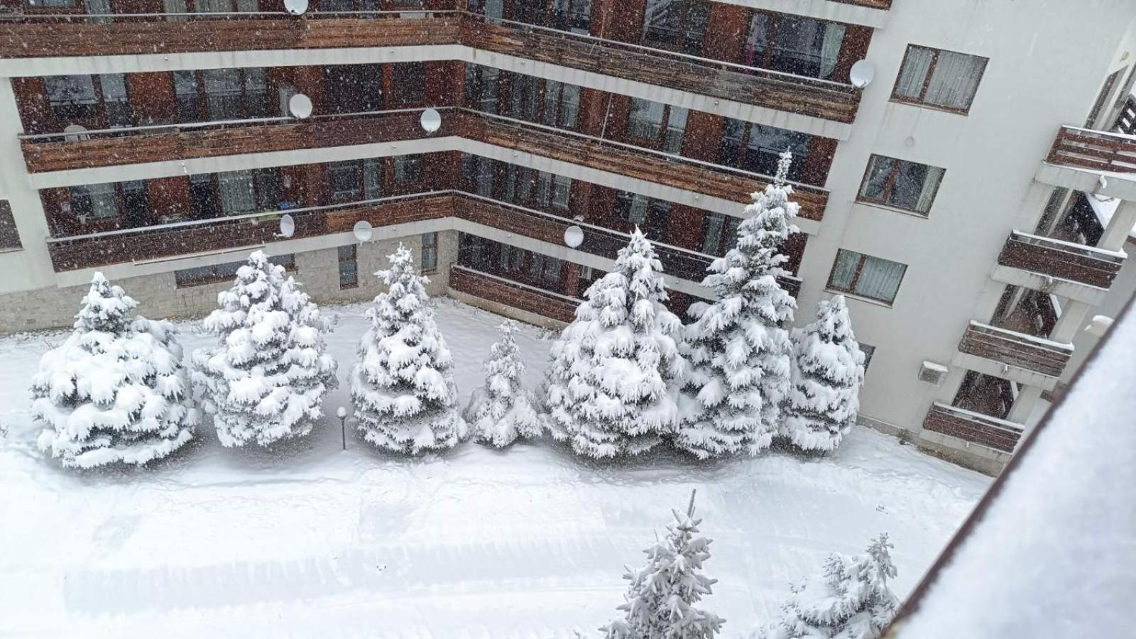 Studio Detelina Residence Bansko Buitenkant foto